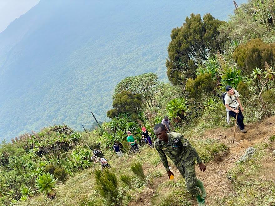 1-Day Hiking Mount Bisoke to Crater Lake